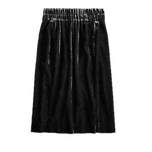 J.Crew  Velvet Skirt